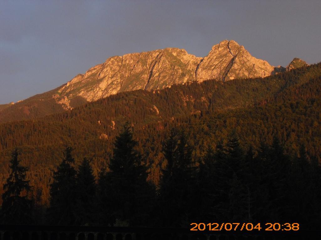 Hôtel Siwarna Natura Tour à Zakopane Extérieur photo