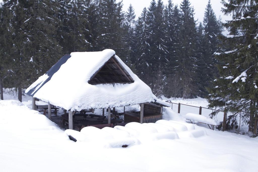 Hôtel Siwarna Natura Tour à Zakopane Extérieur photo